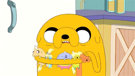 adventure time jake the dog episode|jake's puppies adventure time.